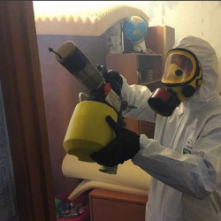 Уничтожение клопов в квартире. Борисово